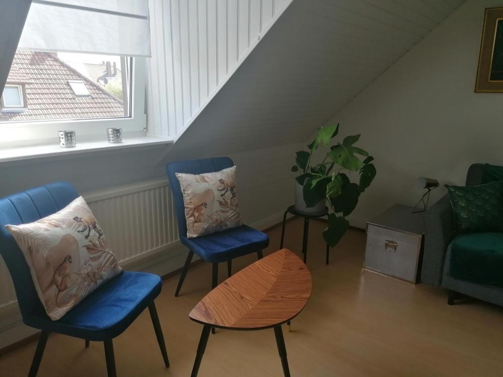 Apartmán Chez Carine Schiltigheim Exteriér fotografie