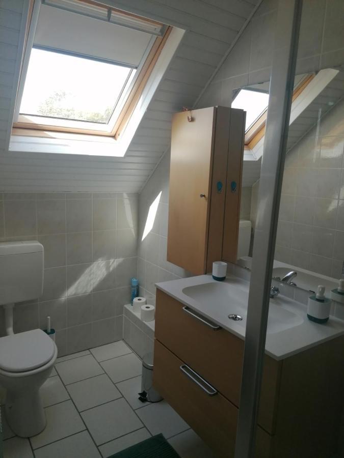 Apartmán Chez Carine Schiltigheim Exteriér fotografie