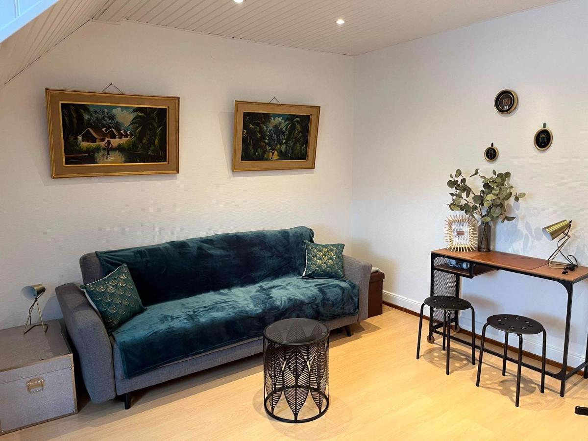 Apartmán Chez Carine Schiltigheim Exteriér fotografie