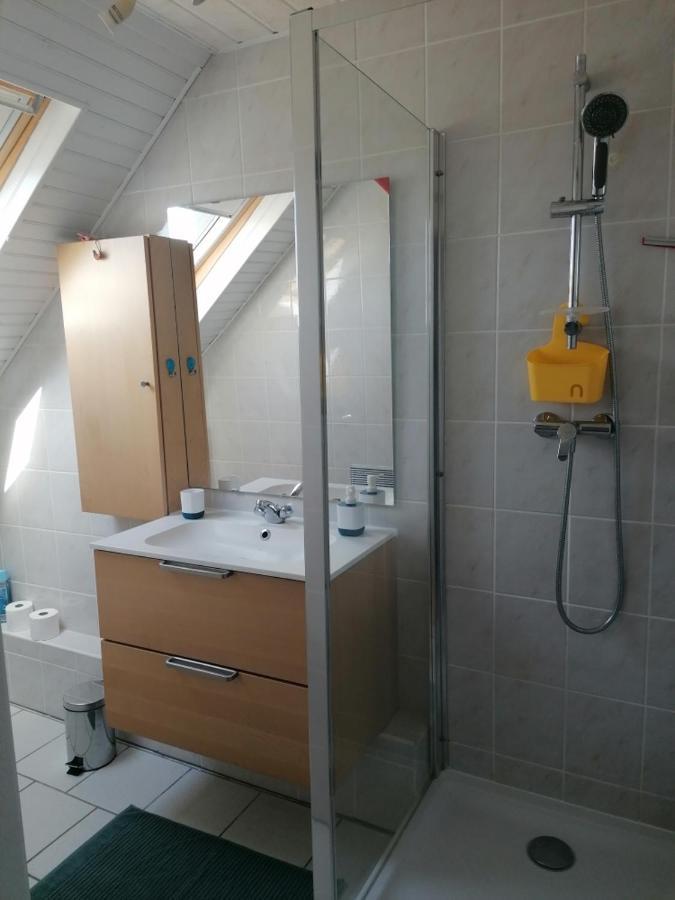 Apartmán Chez Carine Schiltigheim Exteriér fotografie