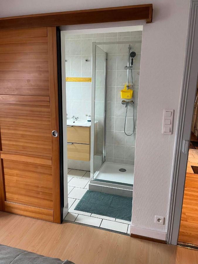 Apartmán Chez Carine Schiltigheim Exteriér fotografie