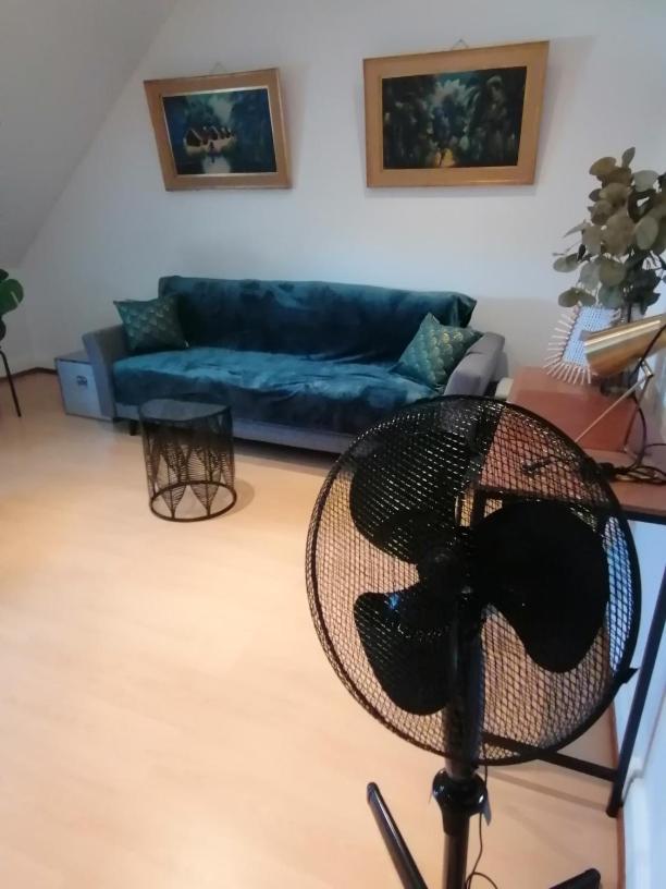 Apartmán Chez Carine Schiltigheim Exteriér fotografie