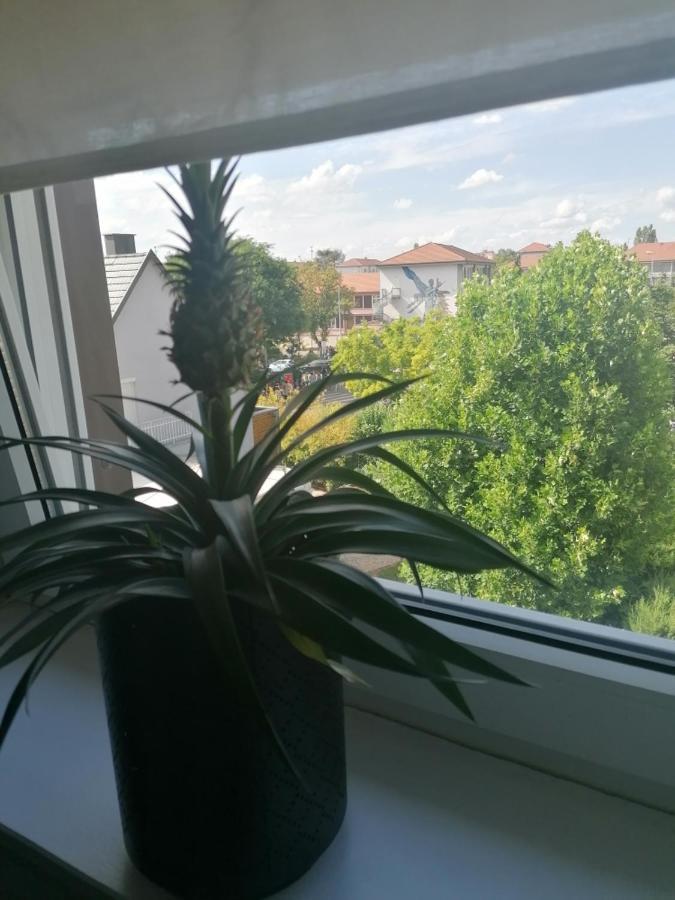 Apartmán Chez Carine Schiltigheim Exteriér fotografie